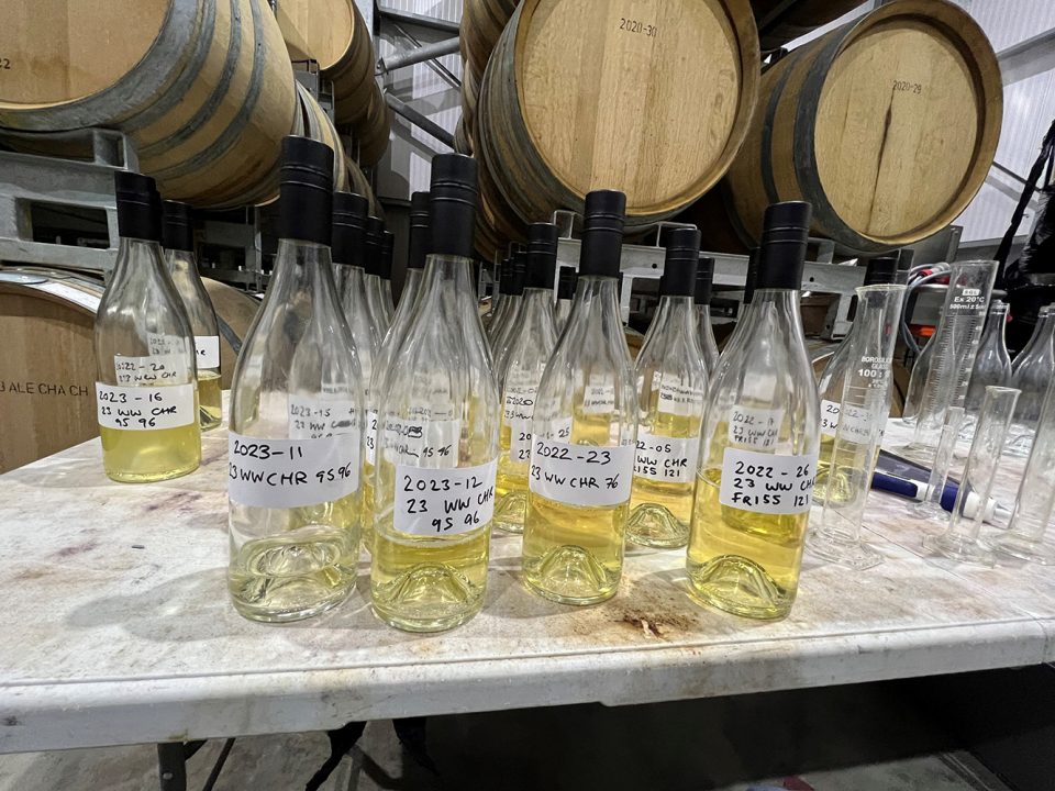 blending Oak Barrels Kent English Chardonnay
