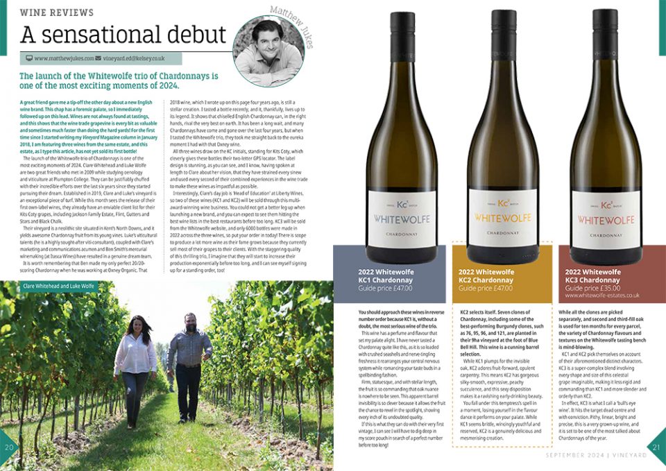 Matthew Jukes Wine Review English Chardonnay