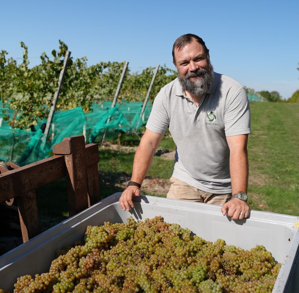 Whitewolfe Chardonnay Harvest 2026